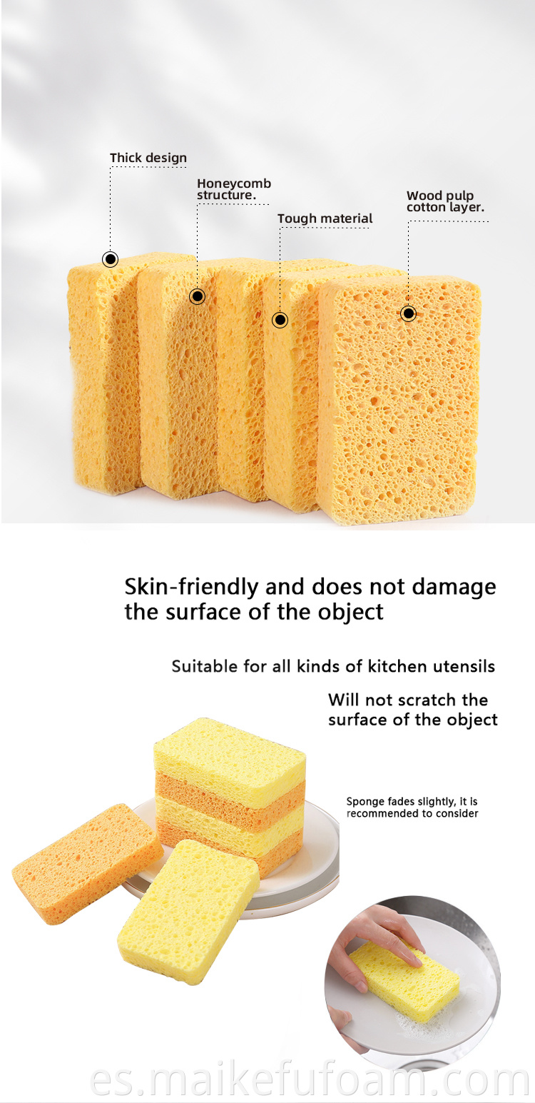 eco-friendly sponge